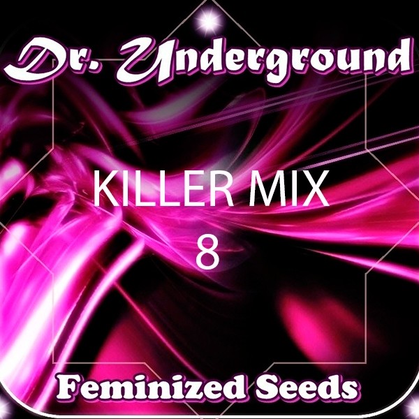 View Killer Surprise Mix 8 planta de maconha