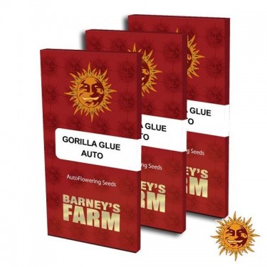 Gorilla Glue Auto sementes de embalagem
