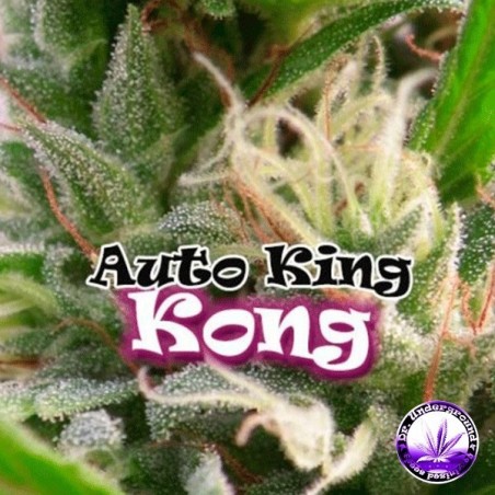 Planta de maconha