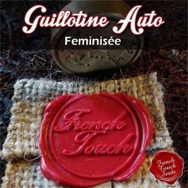 Guillotine Auto