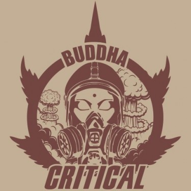 Buda Critical Feminized de Buddha Seeds - GB The Green Brand