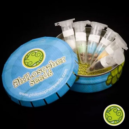 Mistura ao ar livre de filosofer Sementes feminizadas - GB The Green Brand