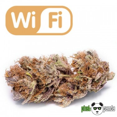 Wi Fi