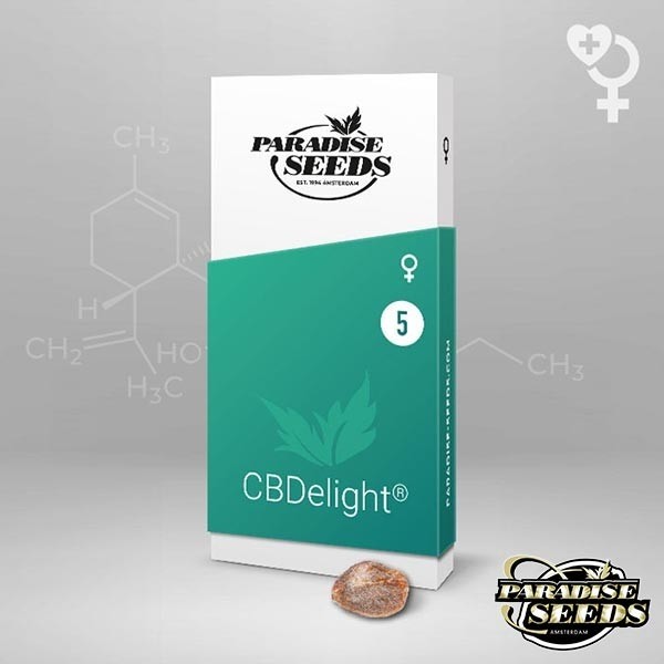 Cbdelight Paradise Sementes Feminizadas Sementes - GB The Green Brand