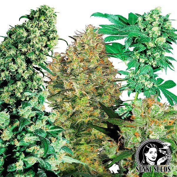 View Indoor Mix regular