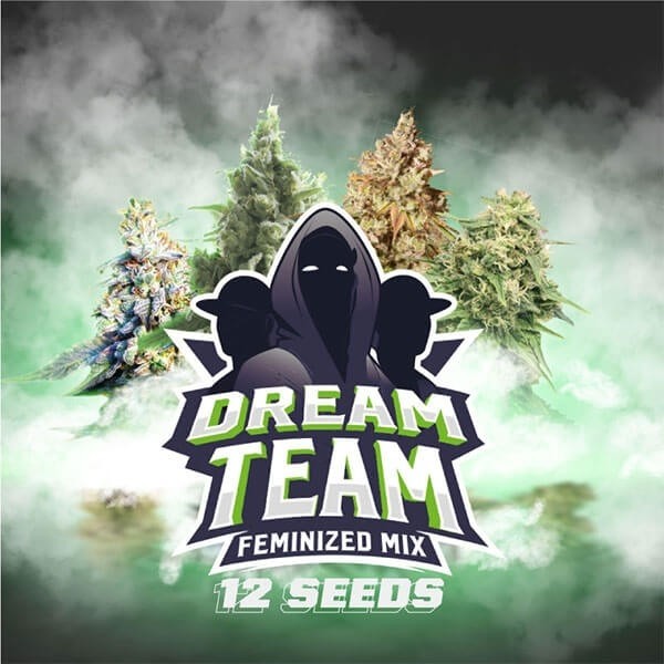 View BSF Seeds Dream Team Mix Sementes - GB The Green Brand