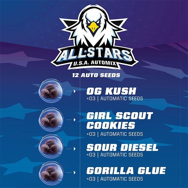 View BSF Seeds All Star OA Automix Sementes - GB The Green Brand