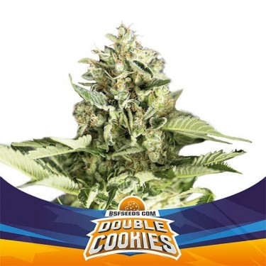 Cookies duplos Auto BSF Seeds Auto - GB The Green Brand