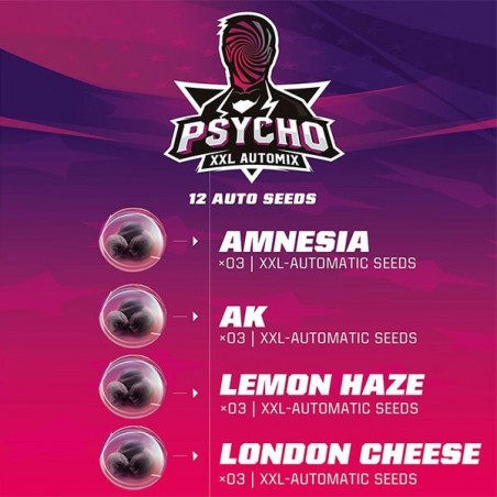 Sementes Psycho XXL Automix by BSF Seeds - GB The Green Brand