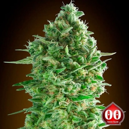 Do-Si-Dos Cookies 00 Sementes - GB The Green Brand