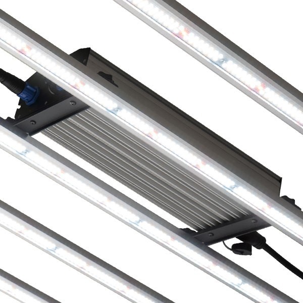 Comprar LED System 630W GB de iluminação - GB