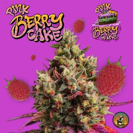 Bolo de Terreta de Berry rosa de produtores - GB A marca verde
