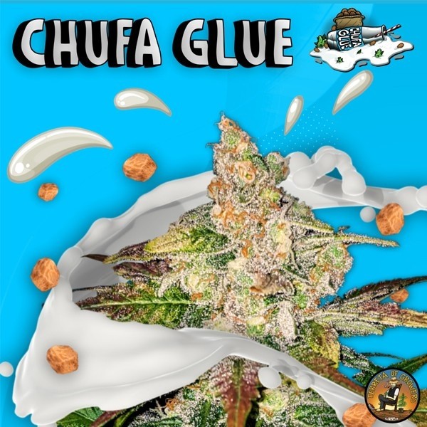 View Chufas Glue de Terreta de Produtores - GB The Green Brand