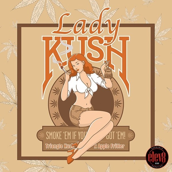 Senhora Kush Elev8 Sementes - GB A Marca Verde