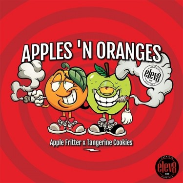 Apples 'n Laranjas de Elev8 Sementes - GB A Marca Verde