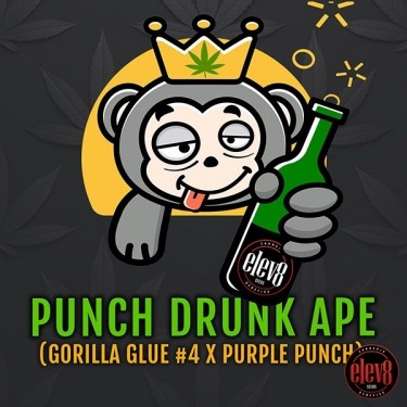 Punch Drunk Ape de Elev8 Sementes - GB A marca verde
