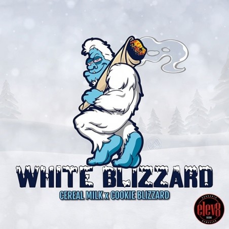 Sementes White Blizzard da Elev8 Seeds - GB The Green Brand