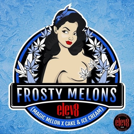 Frosty Melons Elev8 Sementes - GB A marca verde