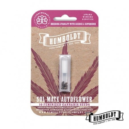 Sol Mate Auto da Humboldt Seeds - GB The Green Brand