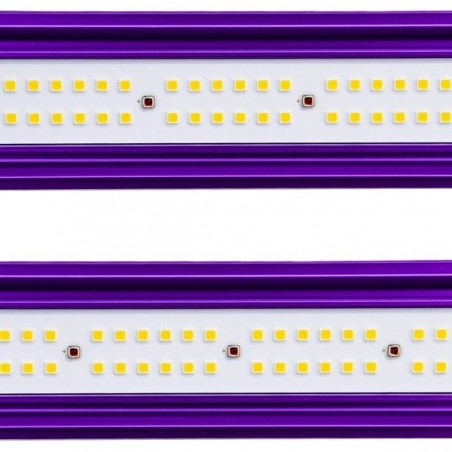 Zeus Lumatek LED sistema Pro LED