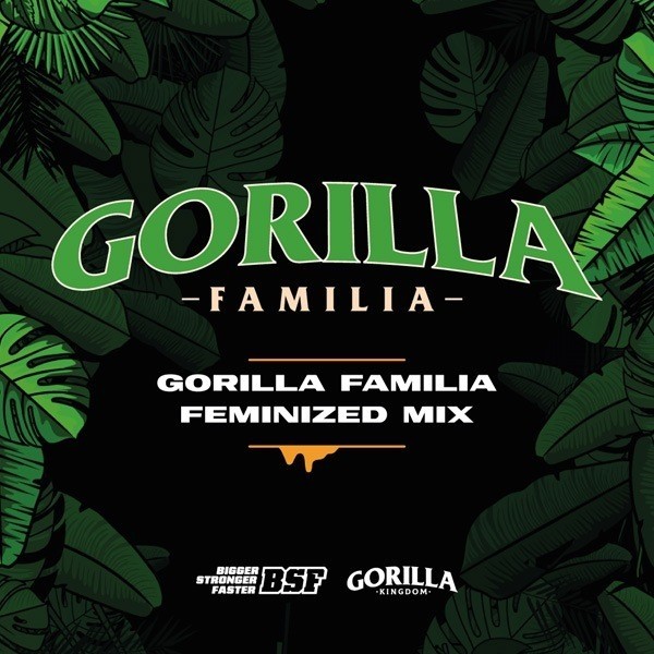 View Comprar Gorilla Familia Mix BSF Seeds - GB