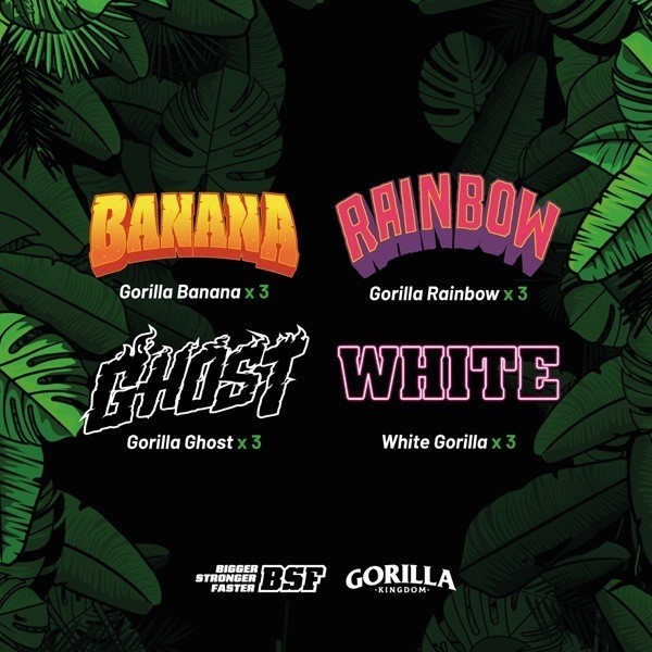 Comprar Gorilla Familia Mix BSF Seeds - GB