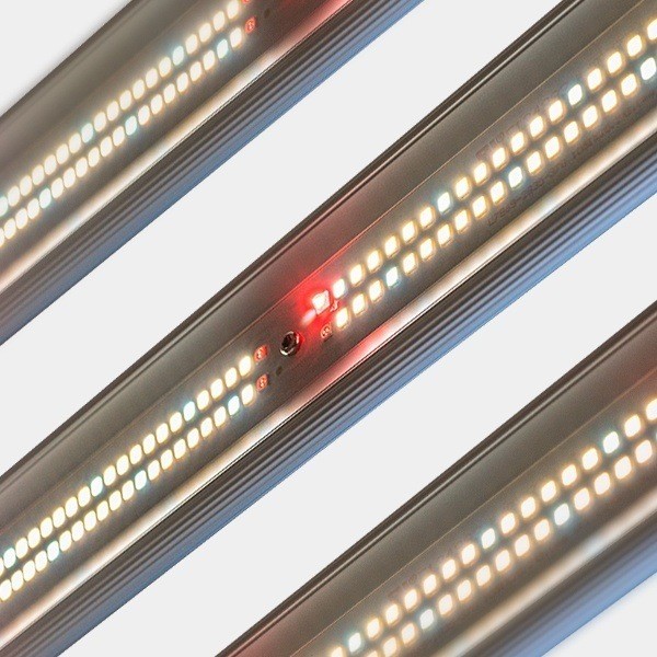Sistema LED Regulável 600W V3.0 GB Lighting - GB The Green Brand