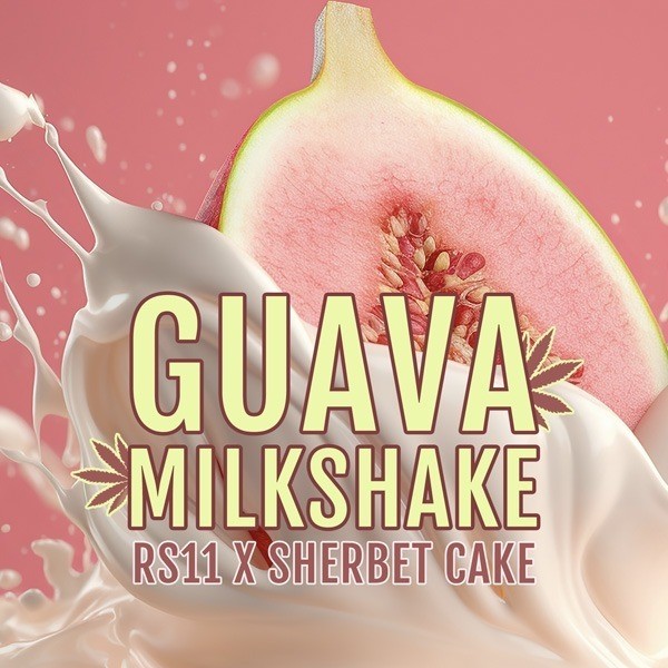 View Guava Milkshake de Elev8 Seeds - GB The Green Brand