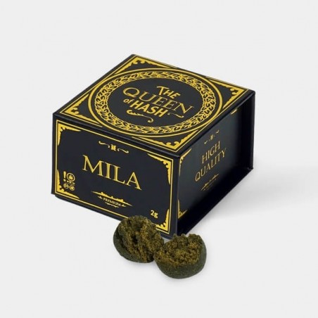 Charas Mila The Queen of Hash x GB -Gb The Green Brand