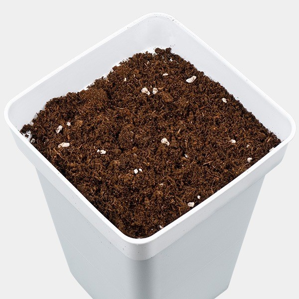 All Mix GB Nutrients - GB The Green Brand