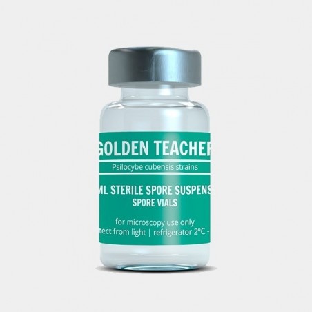 Frasco De Esporas Golden Teacher