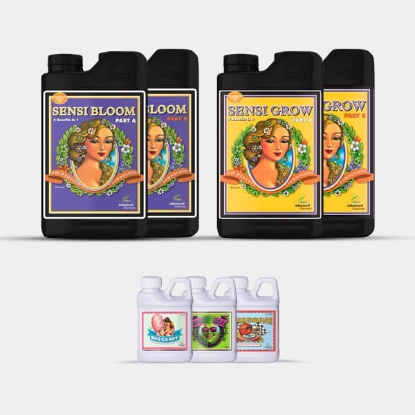 AN Simple Pack