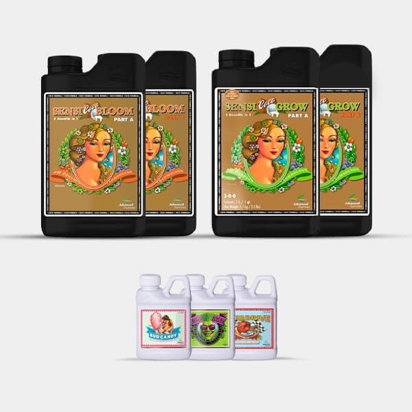 AN Simple Pack