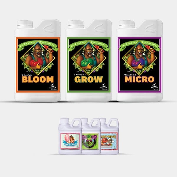 View AN Simple Pack - Nutrientes Avançados - GB The Green Brand