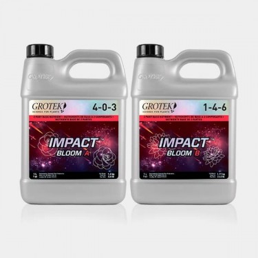 Impact Bloom A+B