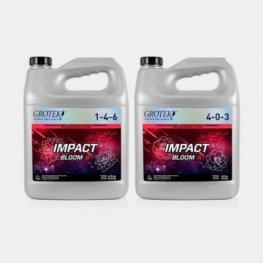 Impact Bloom A+B