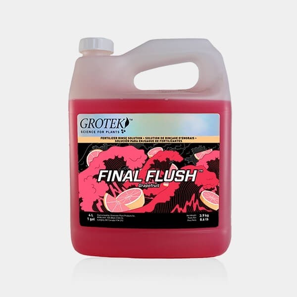 Final Flush