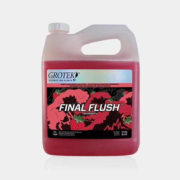 Final Flush