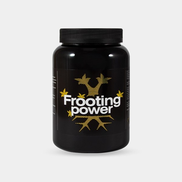 Frooting Power de BAC potente engorde - GB The Green Brand