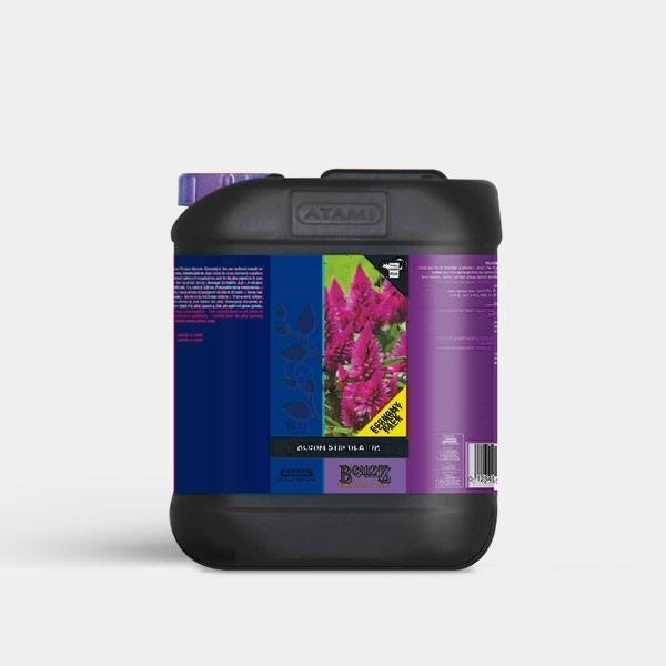 Blossom Builder Liquid