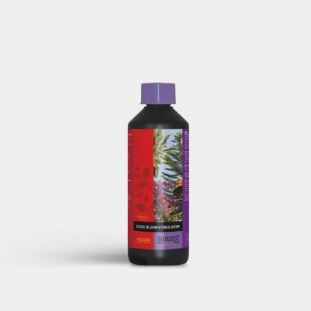 Coco Bloomstimulator B'cuzz Stimulator - GB The Green Brand