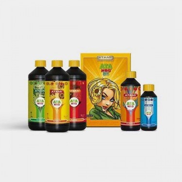 Ata Organics Box Pack 100% orgânico de Atami - GB The Green Brand