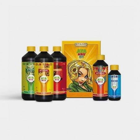 Ata Organics Box Pack 100% orgânico de Atami - GB The Green Brand