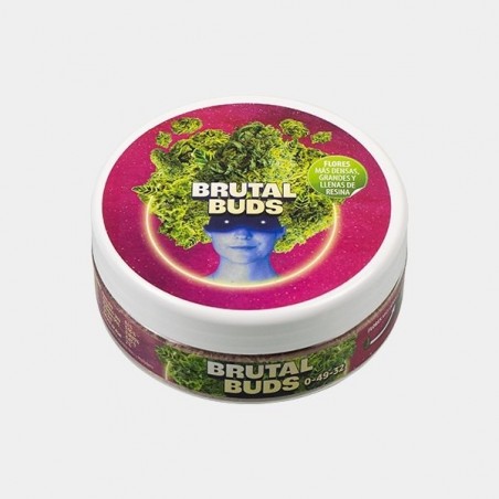 brutal buds 1 pt