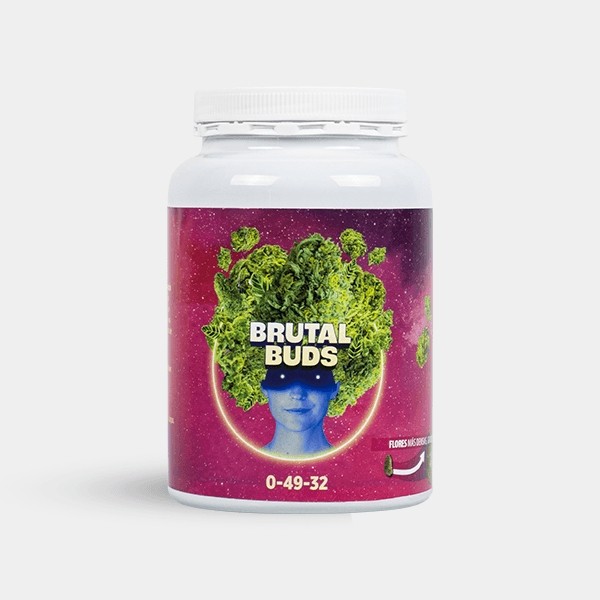 brutal buds 2 pt