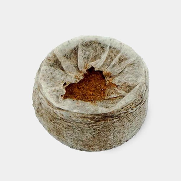 View Comprar Jiffy7 Coco 35mm - GB A marca verde