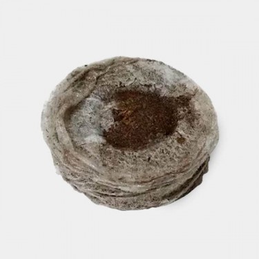 Disco de turba pressda Jiffy7 - 33mm - GB The Green Brand