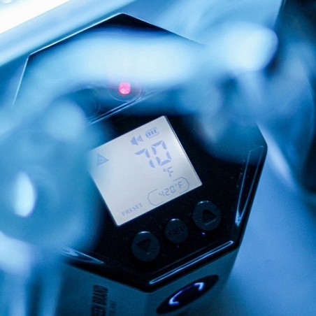 Terp Timer Octave x GB A marca verde - GB
