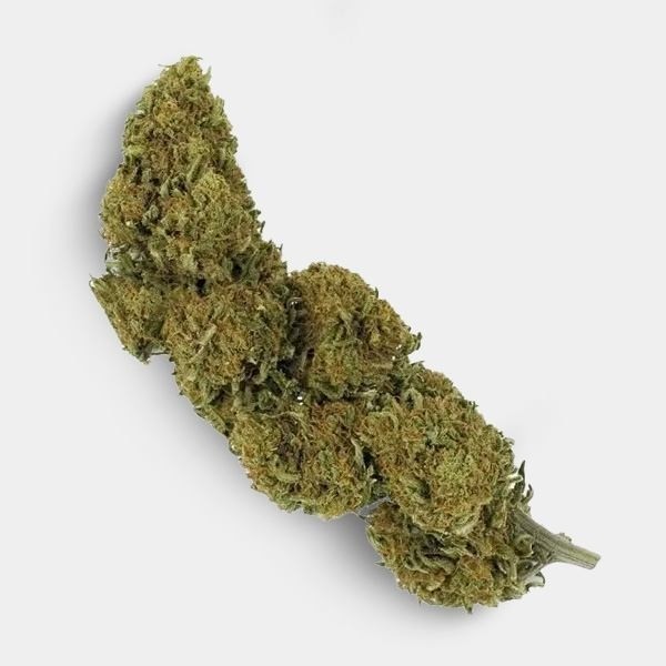 Flores CBD Outdoor + Necessaire Antiodor GB - GB The Green Brand