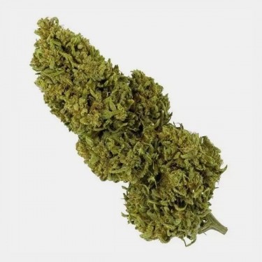 Flores CBD Outdoor + Necessaire Antiodor GB - GB The Green Brand